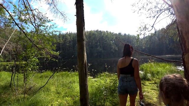 Национальный парк "Нарочанский". Экологическая тропа "Голубые озера". Беларусь. Нарочь. смотреть онлайн