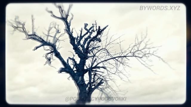 ЕСЛИ БЫ МОЛОДОСТЬ ЗНАЛА (ЕСЛИ БЫ СТАРОСТЬ МОГЛА): смысл и значение смотреть онлайн