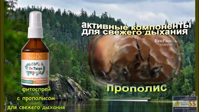 Новинка TianDe. Фитоспрей для полости рта с прополисом смотреть онлайн