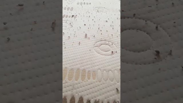 Фитнес для будущих мам