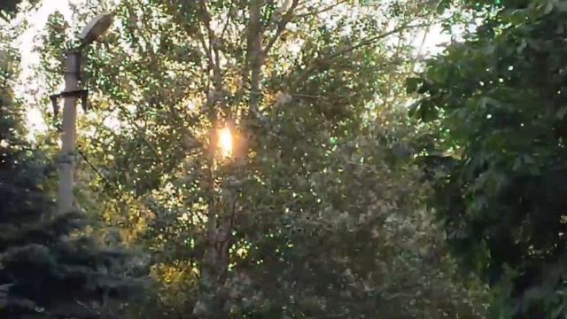 #Стихи о любви. Иннокентий #Аненский: Одной звёзды я повторяю имя. #Эдуард #Асадов. смотреть онлайн