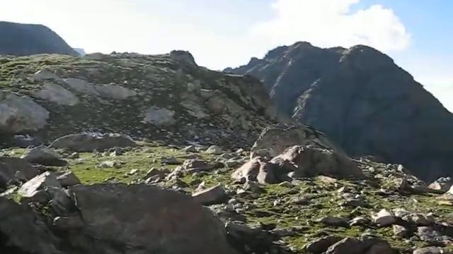 Козел (тур) смотреть онлайн