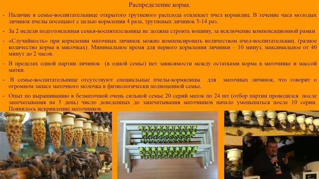 Рахматулин_ #матководство - Научные и практические аспекты промышленного вывода маток