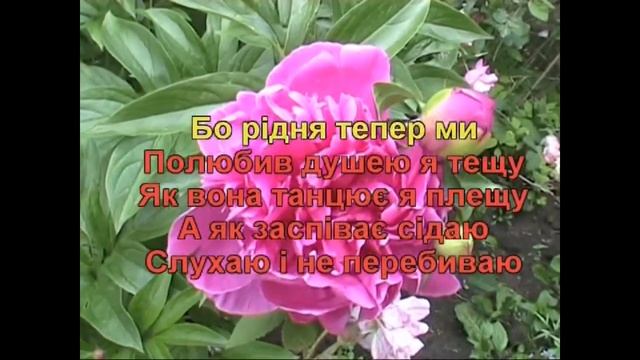 Теща (Караоке) - Гулянка в Україні 1 частина друга смотреть онлайн