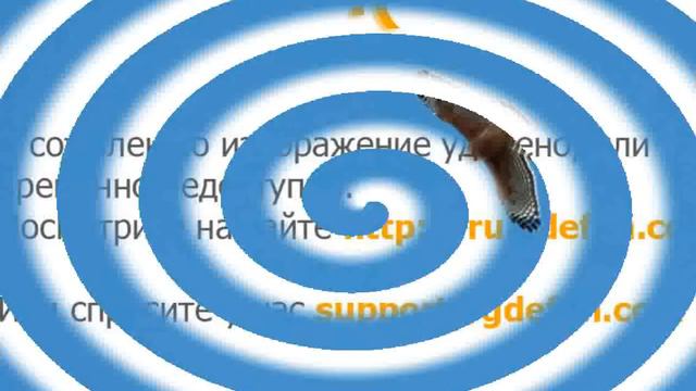 Hawk on sky - Images смотреть онлайн
