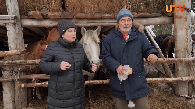 Выгодно ли содержать небольшой табун лошадей? смотреть онлайн