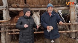 Выгодно ли содержать небольшой табун лошадей?