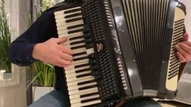Akordeon Akkordeon Accordion Scandalli 120/4/5 - Musette - Barka смотреть онлайн