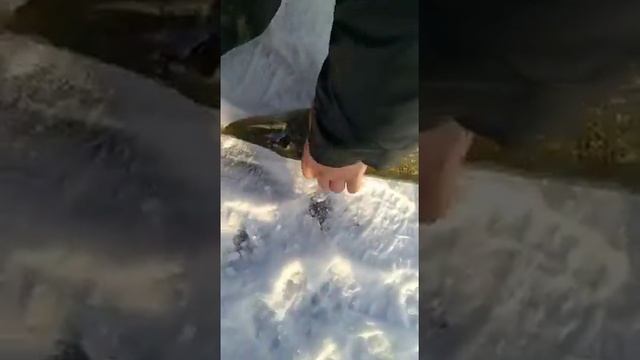 Щука на 4 кг Казахстан озеро Аксуат 28.11.2020г смотреть онлайн