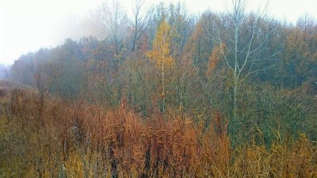 Осень в Курске под музыку "Осенний вальс" Шопена смотреть онлайн