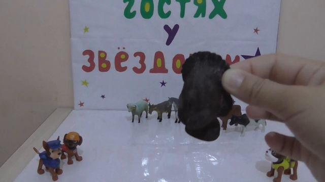 ДОМАШНИЕ ЖИВОТНЫЕ в гостях у Звездочки!!!!!!!!!!!!!!!!!!!!!!!!!!!!!!!!!!!!!!! смотреть онлайн