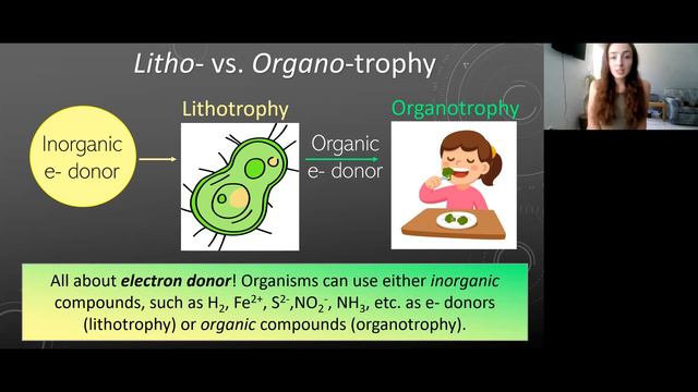 Metabolic Diversity (photo-/chemo-, auto-/hetero-, litho-/organo-trophy) | GEO GIRL смотреть онлайн