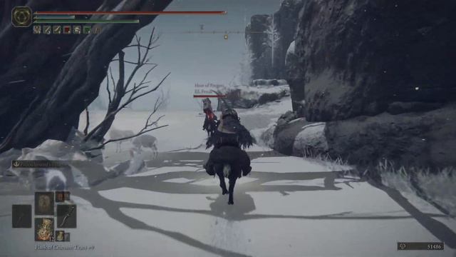 Elden Ring Seamless Co-op Region Lock - Mountaintops of the Giants - Part 31 смотреть онлайн