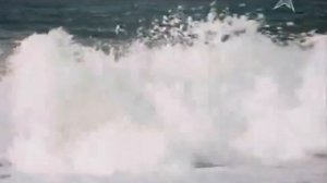 Поёт Михаил Рыба. Песня Бена из к/ф «Последний дюйм»