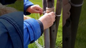 Подвязка деревьев