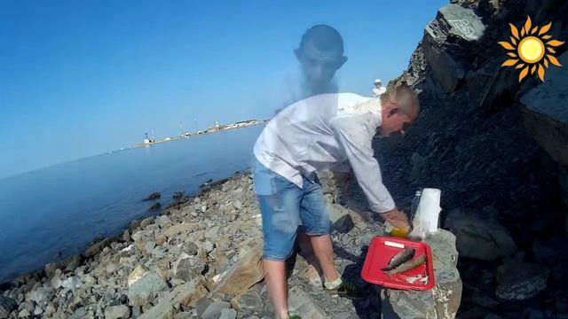 Вегетарианские Кафе и Рестораны