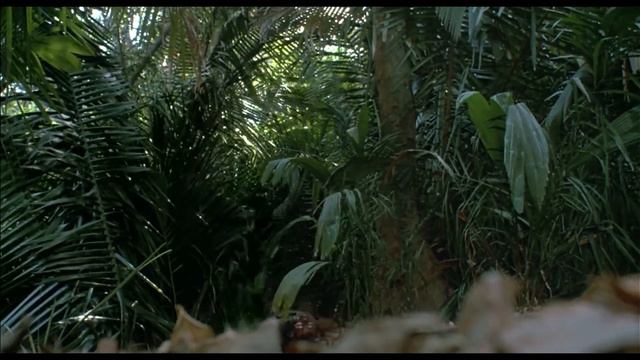 Predator - (Long, Tall Sally - Little Richard) смотреть онлайн
