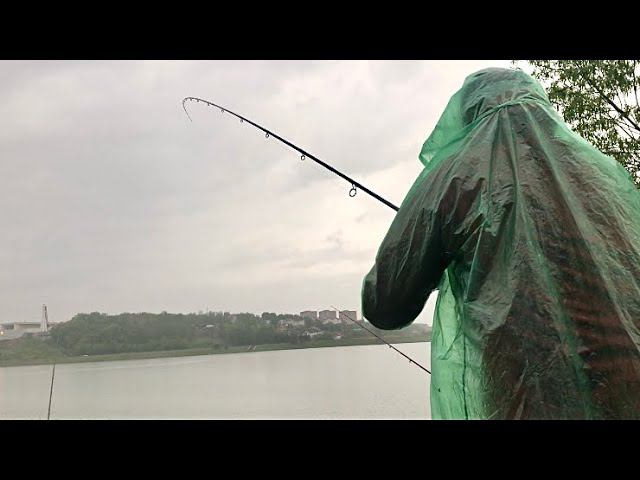 Ловля ЛЕЩА в Ливень Рыбалка на фидер в МАЕ в Дождь смотреть онлайн