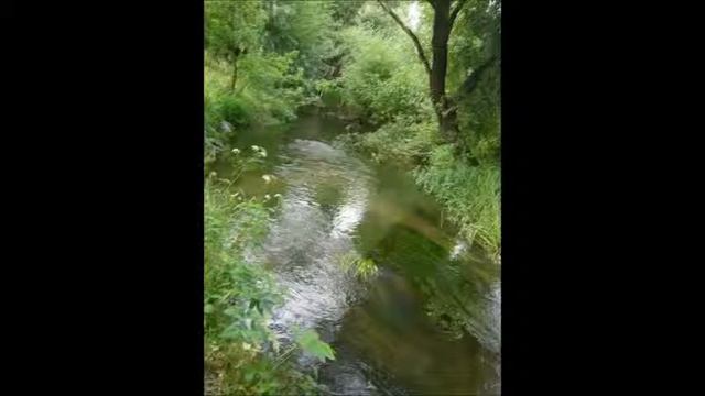 Соловей с кукушкой смотреть онлайн