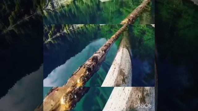 Медитация Я есть любовь смотреть онлайн