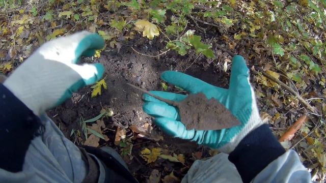 МЕТАЛЛОИСКАТЕЛЬ Minelab CTX 3030 в осеннем лесу