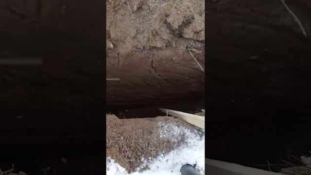 Один день из 365 дней смотреть онлайн