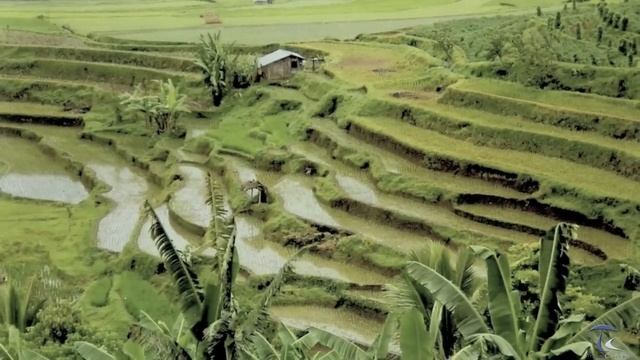 Sumatra Island -  Indonesia