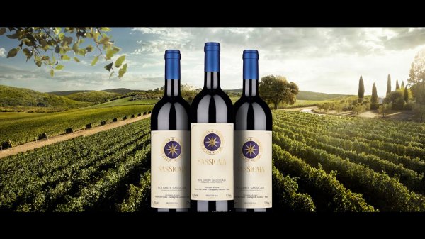 Чем отличается дорогое вино от дешевого