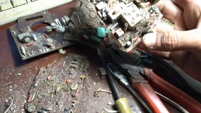 20,06,2021 Находки в лесу смотреть онлайн