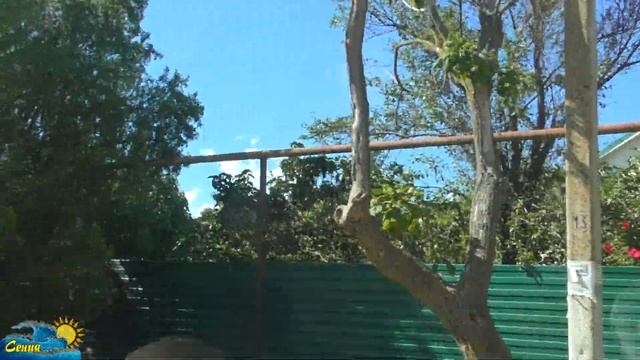 Куда на ПМЖ? ГАРКУША Темрюкский район - обзор станиц при переезде в Краснодарский край смотреть онлайн