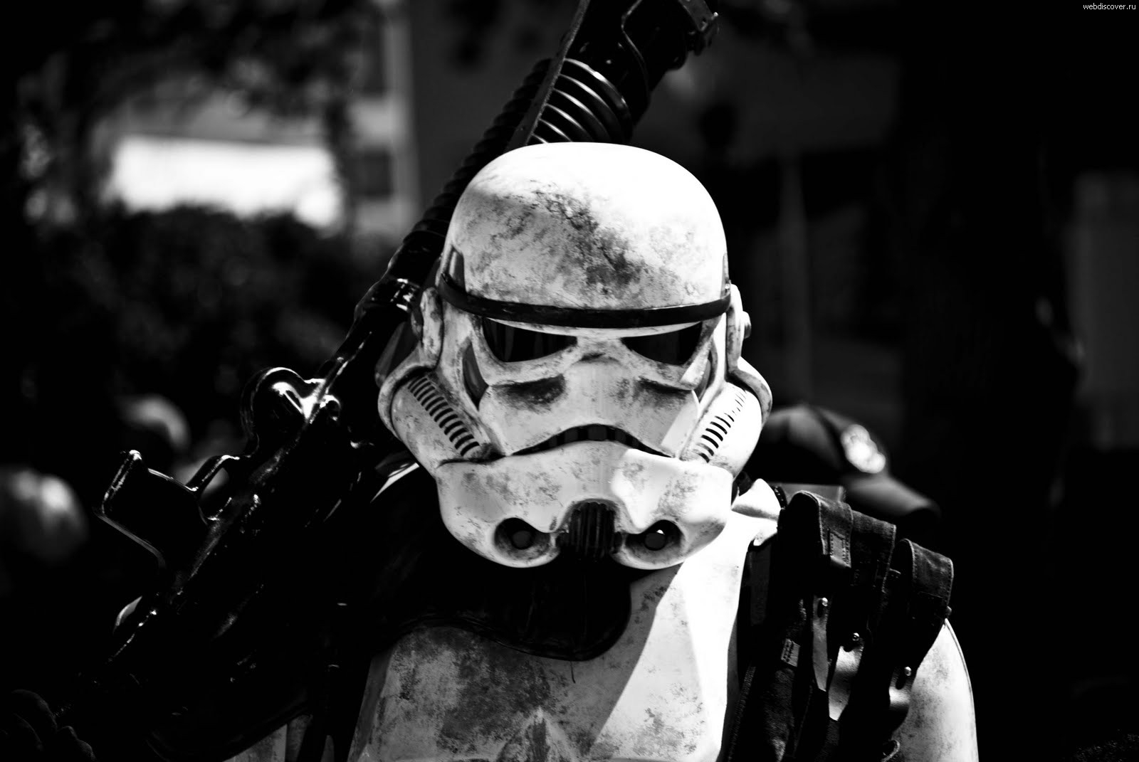 Warface 2024 смотреть онлайн