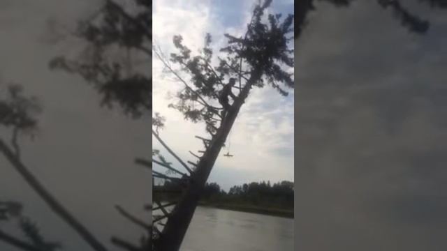 На одной из самых опасных рек сибири"волчья пасть"рискуют тарзанка смотреть онлайн