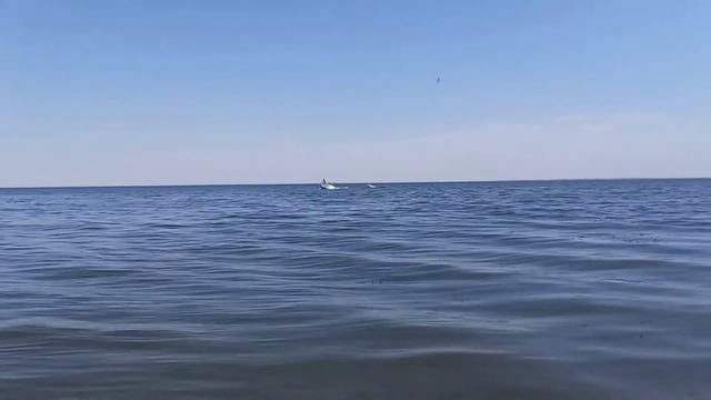 Прогресс 4. Лодочный мотор Ямаха (Yamaha) 40 VEOS. Водная ватрушка. ПОКАТУШКИ. смотреть онлайн