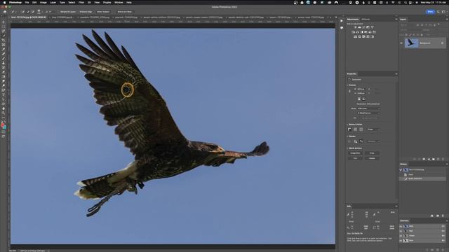 The Ultimate Guide to Photoshop Selections: How to Make the Perfect Selection Every Time смотреть онлайн