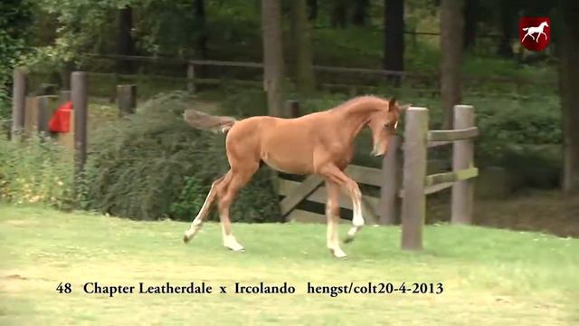 48. Indigo - Chapter Leatherdale x Ircolando x Almiro смотреть онлайн