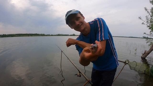 ТРОФЕЙ КАРАСЬ / РЫБАЛКА НА ВОЛГЕ В ЗАЛИВНЫХ ЛУГАХ/ЛОВЛЯ НА УДОЧКУ/ЛОВЛЯ ПОДЛЕЩИКА// ВЕСЕННЯЯ РЫБАЛКА смотреть онлайн