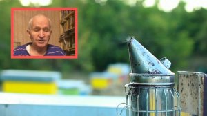 Почему весной очень важно давать пчелам подсоленную воду.