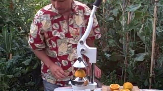 Hand Operated Olympus Citrus Press - The Best Orange Lemon Juice Extractor смотреть онлайн