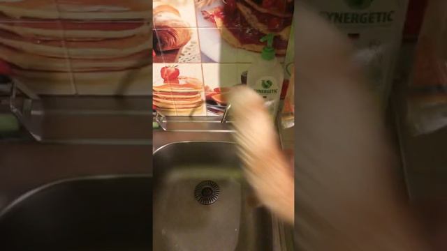 Кошка Ева просит пить #animals #cat #кошки #питьводу #котэ #кот смотреть онлайн