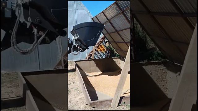 Отзыв на телескопический погрузчик BUILDER TL20 #погрузчик #трактор #builder #телескоп смотреть онлайн