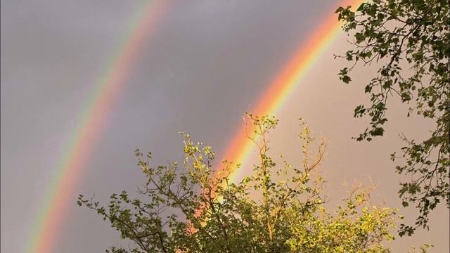 Rainbow by Kacey Musgraves (Lyrics) смотреть онлайн