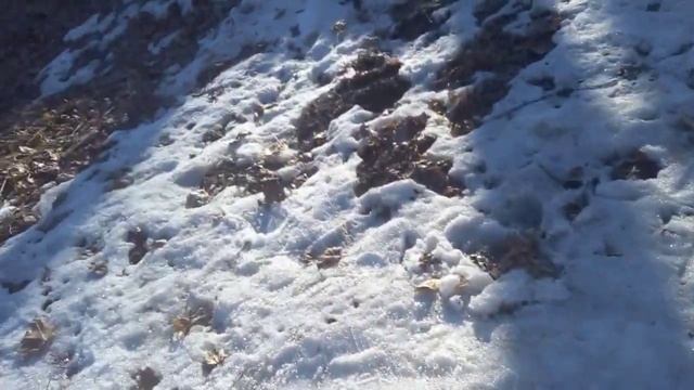 Александровский парк царское село в гора смотреть онлайн