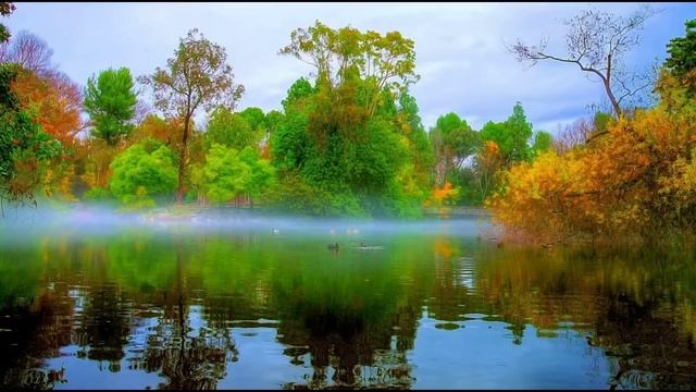 Муж тайно продал квартиру, и реакция жены его удивила. Истории из жизни смотреть онлайн