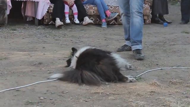 День рождение приюта Источник Жизни 16.05.2015г смотреть онлайн