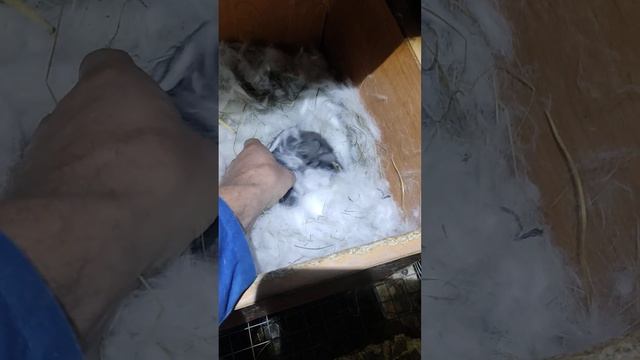 бутузам 8 дней смотреть онлайн