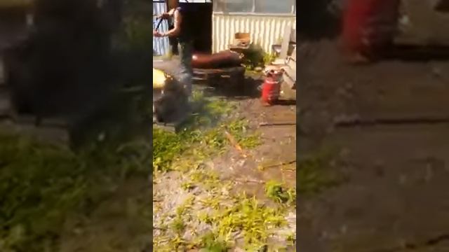 Использование мойки высокого давления Керхер при забое свиней смотреть онлайн