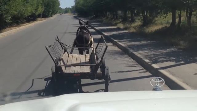 Одинокий осел смотреть онлайн