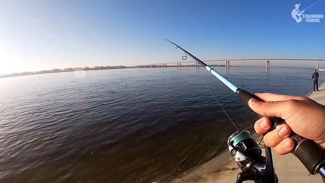 Вот это ПОЛОВИЛ В ТОЛПЕ! ОГРОМНАЯ РЫБА собрала зрителей на набережной смотреть онлайн