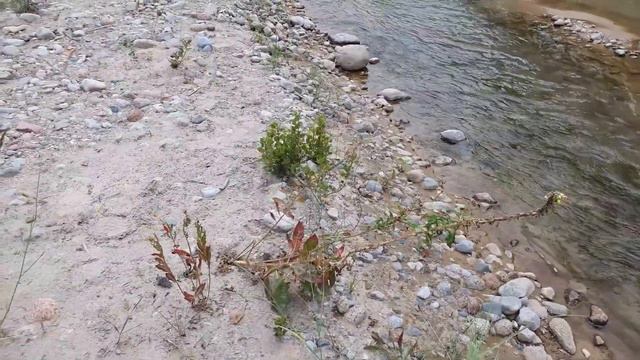 Каменная долина 66 смотреть онлайн