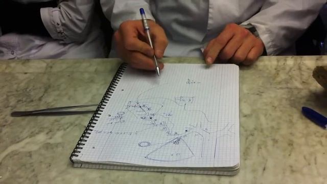 Pulmo, pleura, mediastinum pt 2 смотреть онлайн